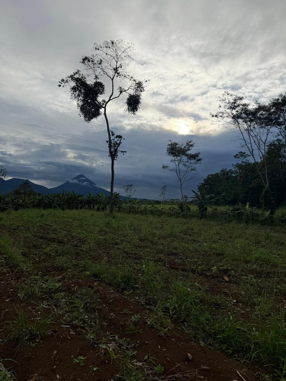 Lote en Sonafluca, San Carlos