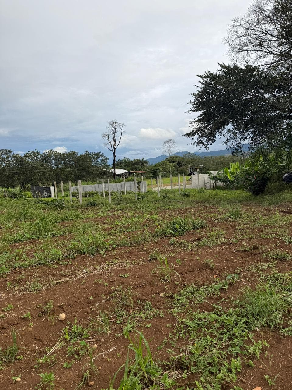 Lote en Sonafluca, San Carlos