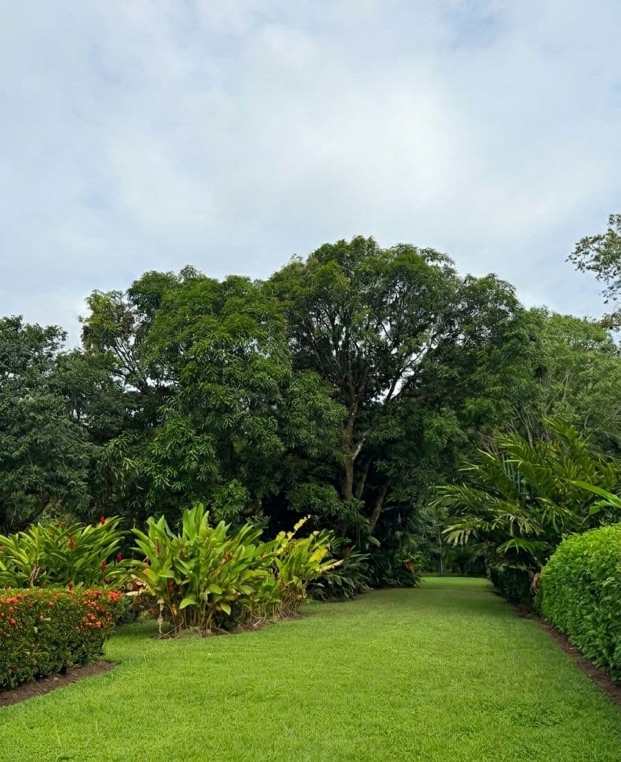 Lote en el centro de Chachagua