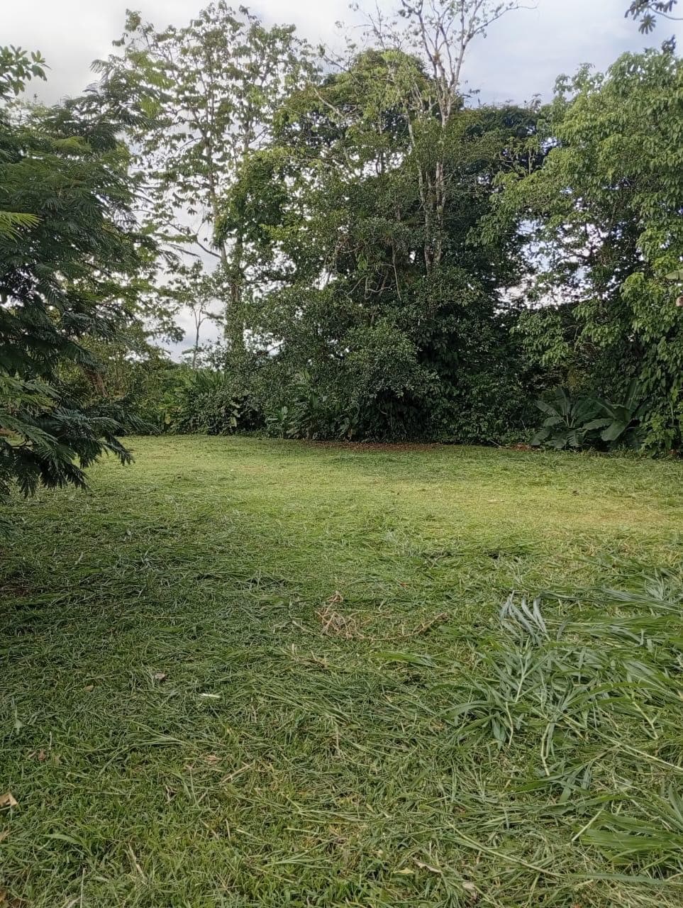 Lote en El Bosque de La Fortuna